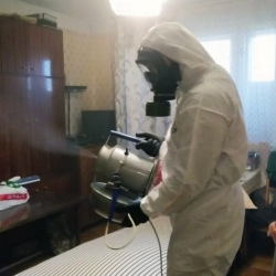 Дезинфекция от клопов в Вельске