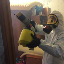 Уничтожение клопов в квартире. Вельск